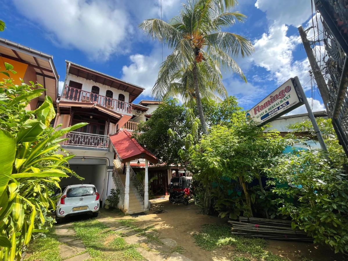 Flamingo Guest House Unawatuna Dış mekan fotoğraf